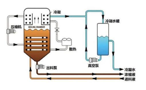 QQ截图20230609152620